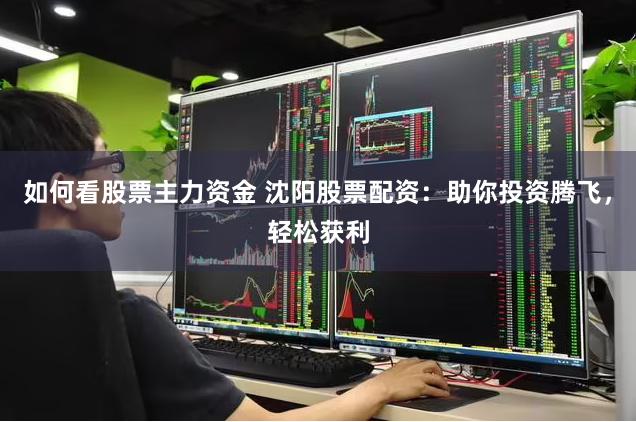 如何看股票主力资金 沈阳股票配资：助你投资腾飞，轻松获利