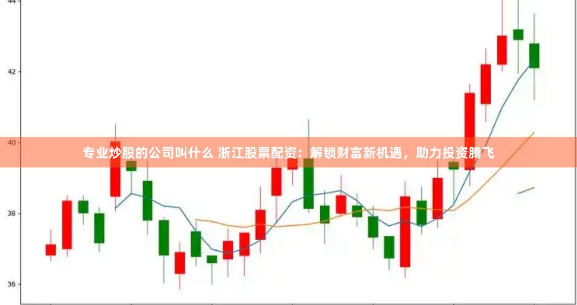 专业炒股的公司叫什么 浙江股票配资：解锁财富新机遇，助力投资腾飞