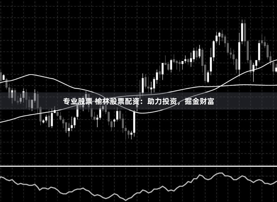 专业股票 榆林股票配资：助力投资，掘金财富