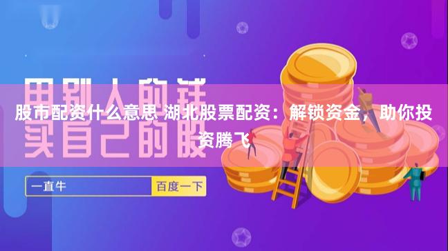 股市配资什么意思 湖北股票配资：解锁资金，助你投资腾飞